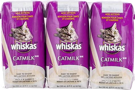 Amazon Com Cat Milk