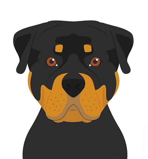 Pin De Dog Portraits Em Digital Dog Art Cachorro Loja De Animais