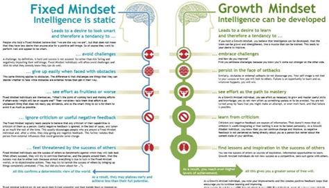 Fixed Vs Growth The Two Basic Mindsets That Shape Our Lives