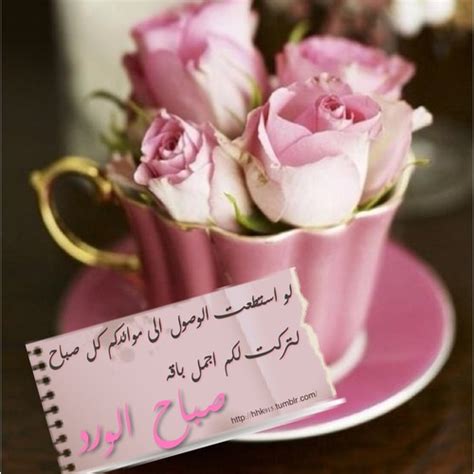 ژاکت zhaket معتبرترین مارکت وردپرس برای خرید قالب وردپرس و پوسته وردپرس و قالب فارسی وردپرس میباشد. صور صباحيه للحبيب , احى صباح على احلى عيون - صباح الورد