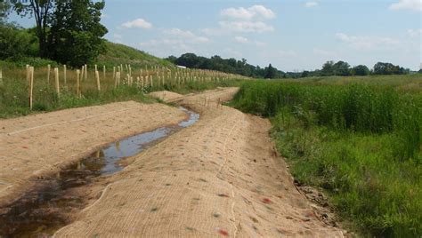 Civil Engineering Firm Case Study | Pond Relocation & Wetland Delineation
