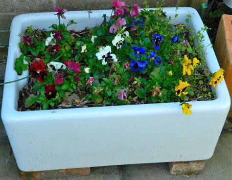 A reclaimed butler sink now on the patio and home to a variety of