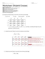 On this page is a set of typical genetics. Dihybrid Cross Worksheet Answers - Promotiontablecovers