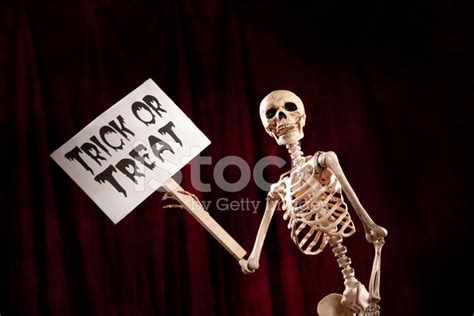 Skeleton Holding A Sign Stock Photo Royalty Free Freeimages