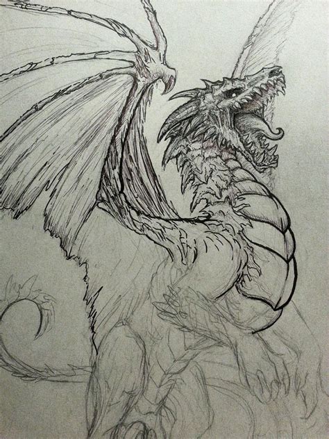 Undead Dragon Sketch By Crystalsully Art Drawings Sketches Cool