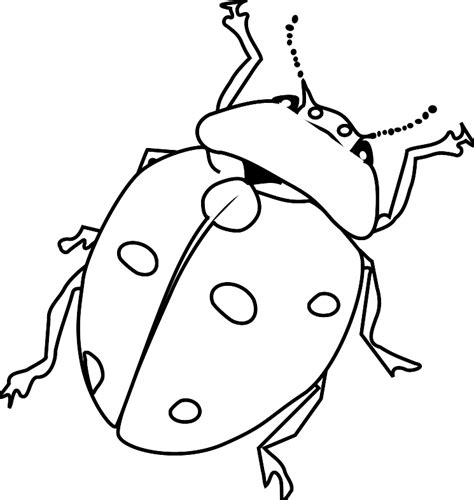 Bugs Outline Clipart Best