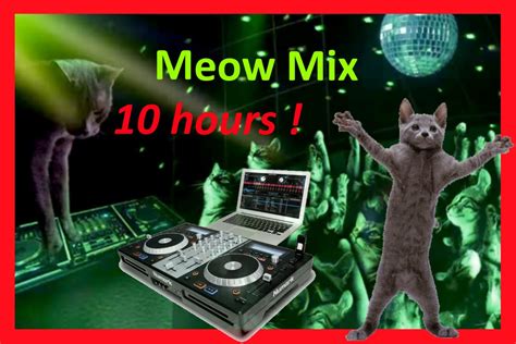 Meow Mix Song 10 Hours Hd Cat Music Edm Cat Remix