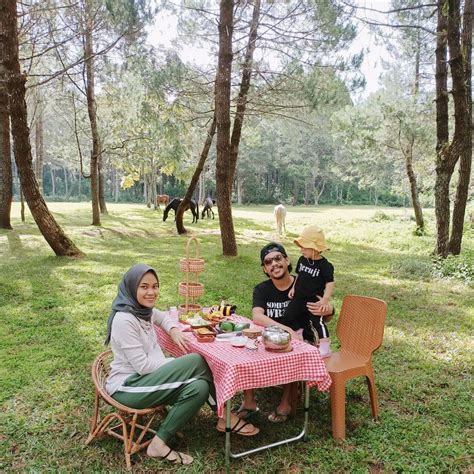 Jungle Milk di Bandung, Piknik dan Berkemah di Hutan Pinus