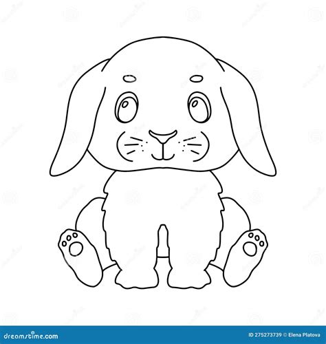 Line Cute Sitting Bunny Vector Outline Graphic Illustration Character