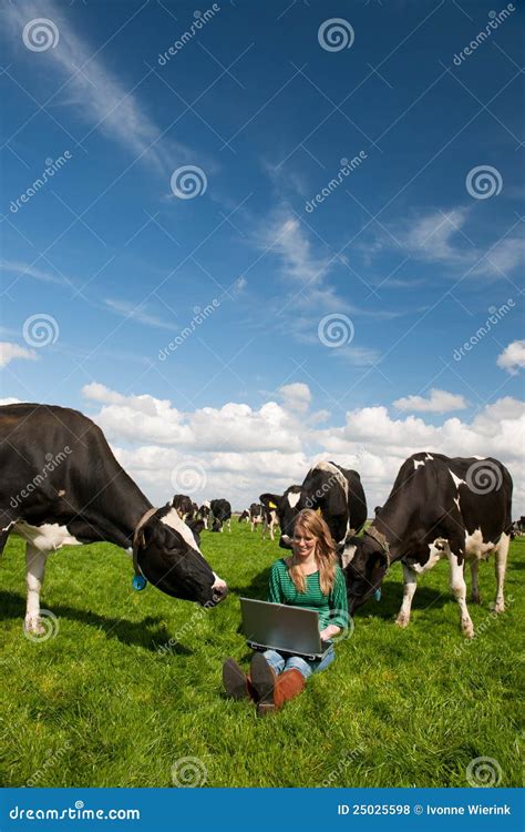 Fille Hollandaise Dans Le Domaine Avec Des Vaches Photo Stock Image Du Cahier Rester 25025598