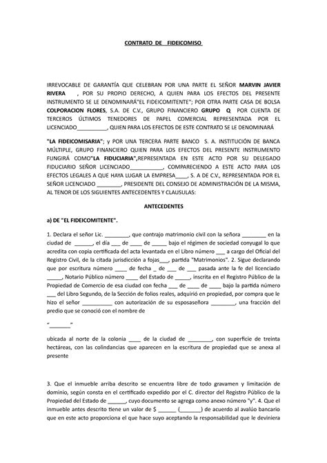 Contrato DE Fideicomiso Formato CONTRATO DE FIDEICOMISO IRREVOCABLE