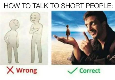 How to talk to short people meme. 16 Tips For Talking To Short People That You Didn't Know You Needed