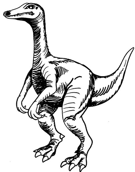 Coloring Page - Dinosaur coloring pages 11