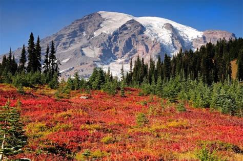 Getaway 11 Scenic Drives For Washington State Fall Color