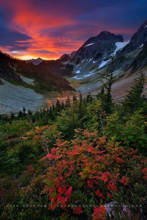 Early Fall Color On A Spectacular Sunrise Morning At Cascade Pass In