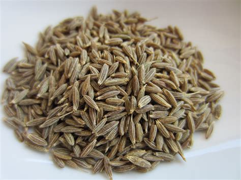 Cumin seeds enable stimulation of the pancreatic enzymes, which helps assimilation of essential nutrients facilitating good digestion. cumin seeds | pfeiffer family: the indian cookbook