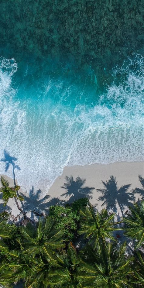 Download Wallpaper 1080x2160 Beautiful Beach Aerial View Palm Trees