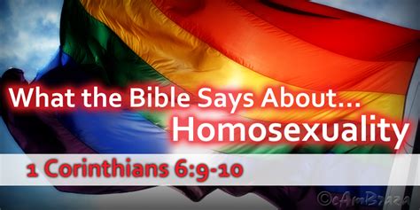 Homosexuality In The Bible Cambraza