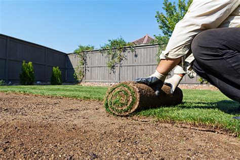 Turf Laying Green Ocean Lawns And Garden Maintenance