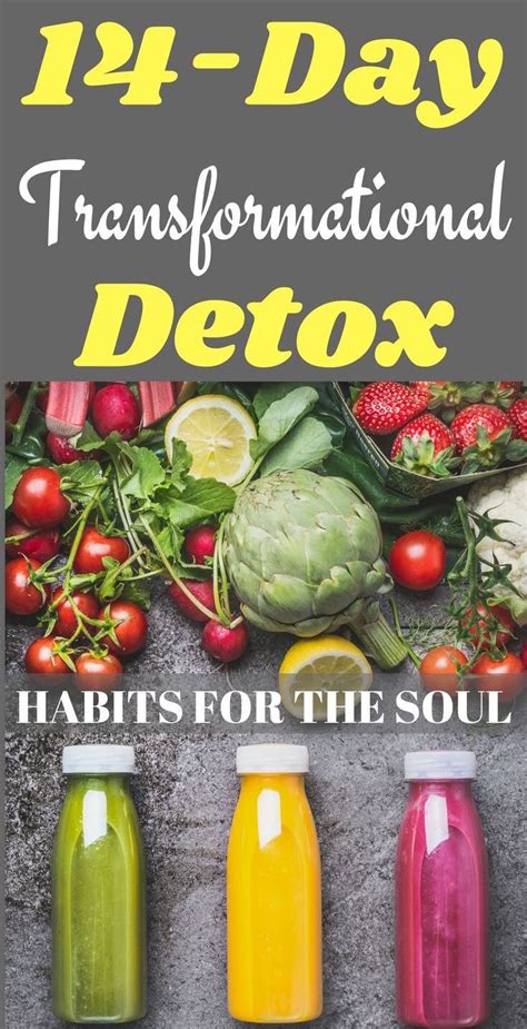 14 Day Full Body Detox Best Detox Cleanse Program In 2020 Detox Tea