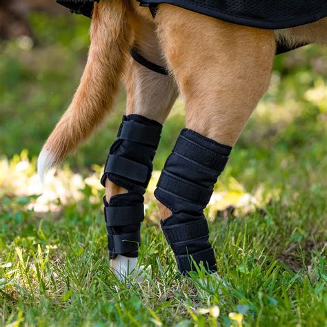 Dog Hock Brace Pair With 4 Self Fastening Straps Back On Track Canada