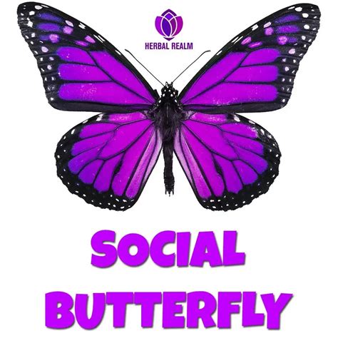 Social Butterfly Herbal Realm
