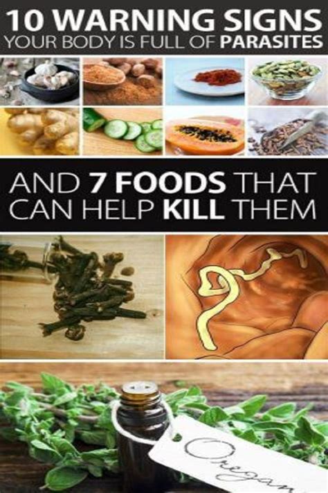 10 Warning Signs Your Body Is Full Of Parasites And 7 Foods That Can Help Kill Them Herbalism