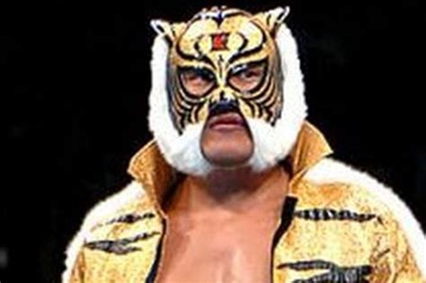 Tiger Mask Wrestler Mask