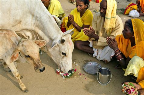 Recent Hindu Festivals And Rituals Photos The Big Picture