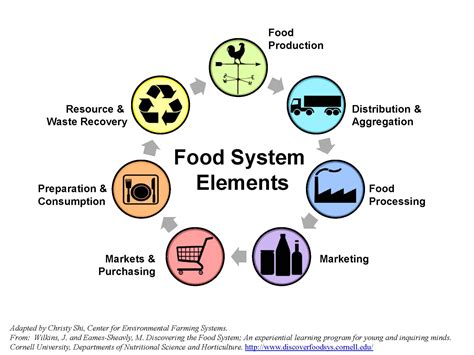 Local Food System Supply Chain Nc State Extension