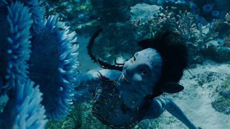 Ver Avatar El Sentido Del Agua 2022 Película Completa Online Hd