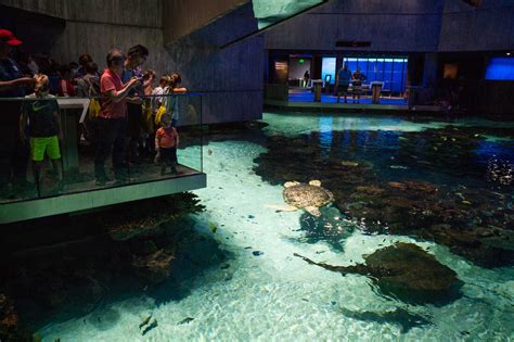 At Baltimores National Aquarium Climate Change Presents Challenges