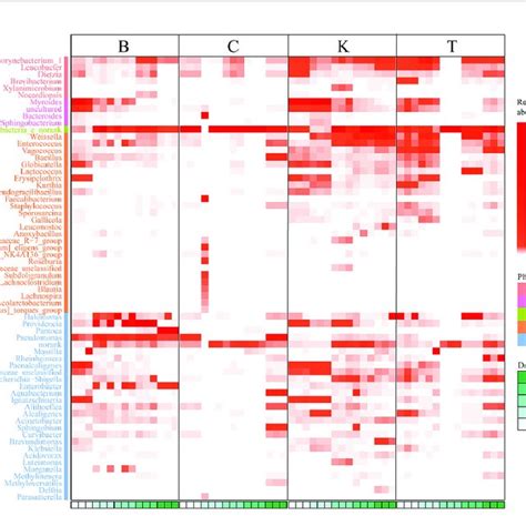 Heatmap Based On The Intestinal Bacterial Genera Of Different House Download Scientific