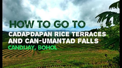 How To Go To Cadapdapan Rice Terraces And Can Umantad Falls In Candijay