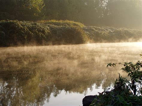 Misty Morning Free Photo Download Freeimages