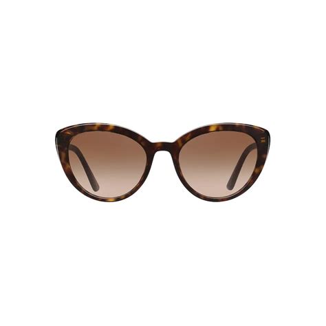 prada cat eye sunglasses alternative fit tortoiseshell prada collection sunglasses
