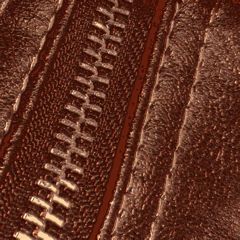 Zipper Leather 2 Free Stock Photo Public Domain Pictures