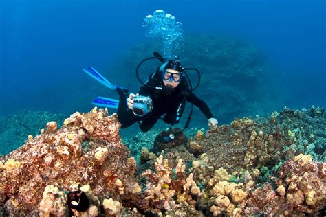 What Are The Benefits Of Diving