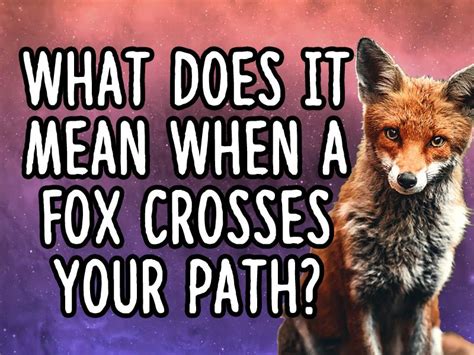 What Does It Mean When A Fox Crosses Your Path About Spiritual