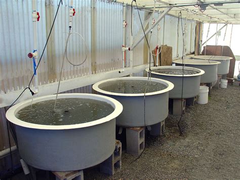 Aquaculture Tanks For Fish Filters Lids Pipes Floors More 916 383 9012