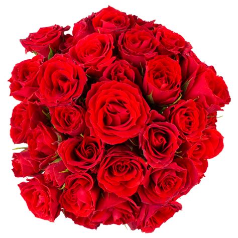 Save On Diy Spray Roses Red Order Online Delivery Martins
