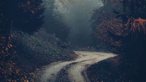 Download Wallpaper 1920x1080 Forest Road Fog Trees Autumn Nature Full Hd Hdtv Fhd 1080p