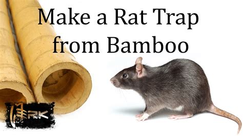 Antivirus systems don't do very well against rats. How to make a bamboo Rat Trap - Tilong Rat Trap - YouTube