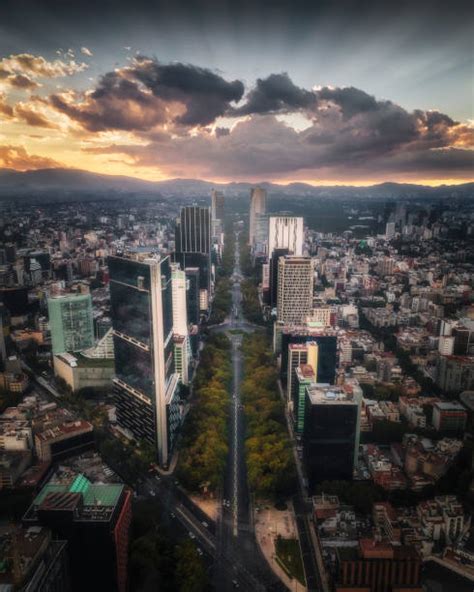 Paseo De La Reforma Banque Dimages Et Photos Libres De Droit Istock