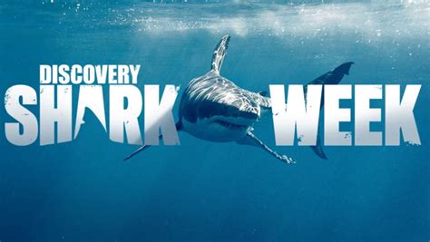 Discovery Releases Dates Teaser Trailer For Shark Week Sharkophile