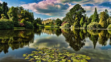 Calm Body Of Water At Distance To Trees Nature Landscape Trees