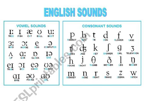 Phonetic Symbols Chart Esl Worksheet By Teacher Laura Grammar