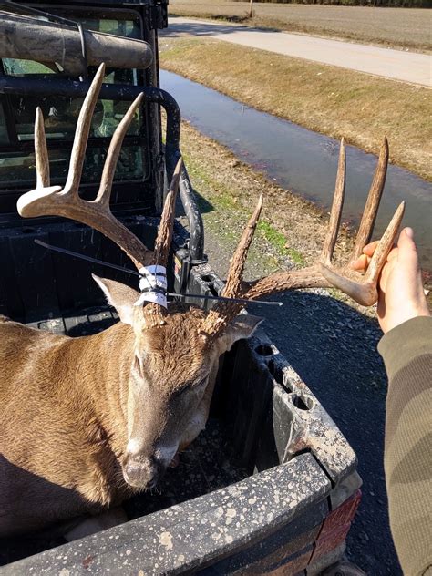 White river refuge | Arkansas Hunting