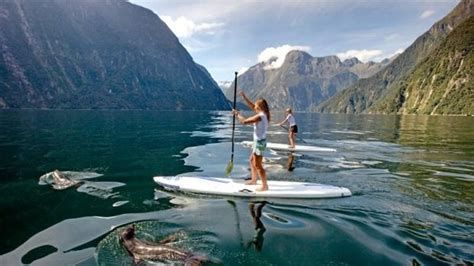 10 Reasons New Zealand Is The Bees Knees Surfing Paddle Surfing