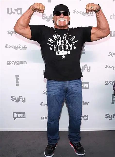 Hulk Hogan Indemnizado Con 102 Millones De Euros Por La Difusión De Un Video Sexual